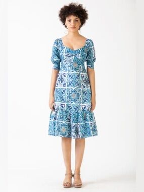 NEW ASH & EDEN ARSIA MIDI DRESS Sz: S
Blue Tile - Metallic Accents